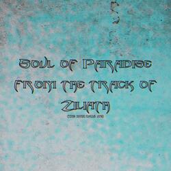 Soul of Paradise from the Track of Ziliath (The Dark Calls Me)