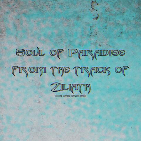 Soul of Paradise from the Track of Ziliath (The Dark Calls Me)