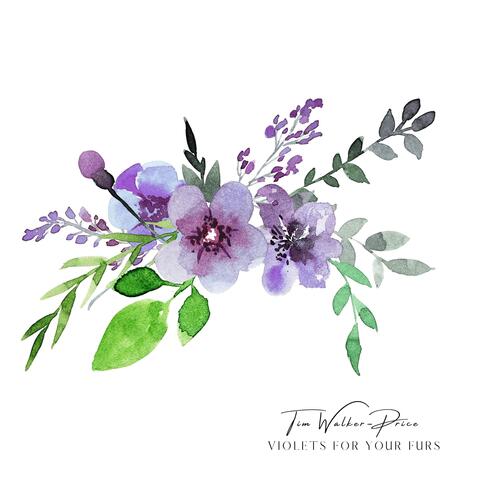 Violets for Your Furs