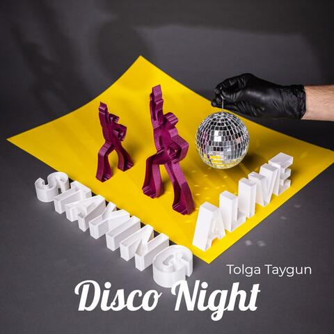 Disco Night