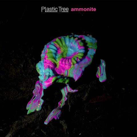 Ammonoidea