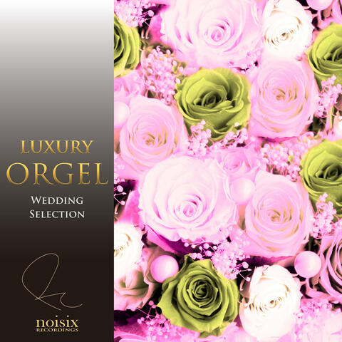Luxury Orgel Wedding Selection Vol.2