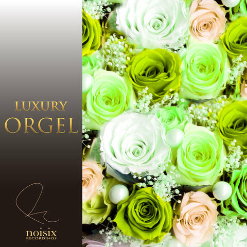 Luxury Orgel J-Pop Hits Vol.9