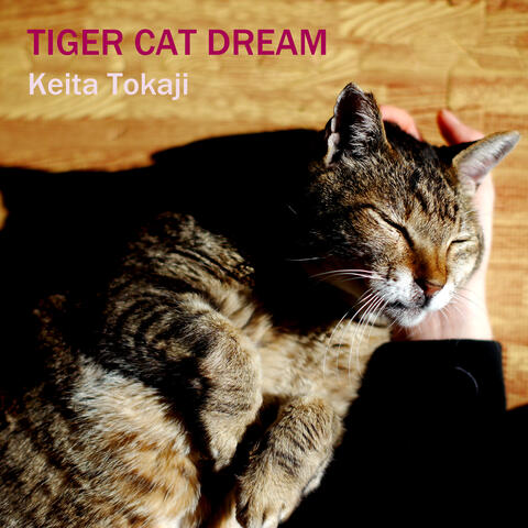 Tiger Cat Dream