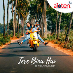 Tere Bin Hai