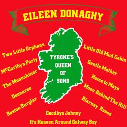 The Cliffs of Dooneen