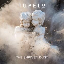 The Shriven Dust