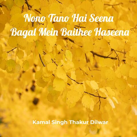 Nono Tano Hai Seena Bagal Mein Baithee Haseena