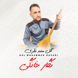 نگار خانگی