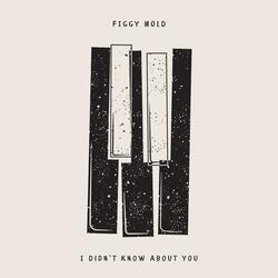 I Didn't Know About You