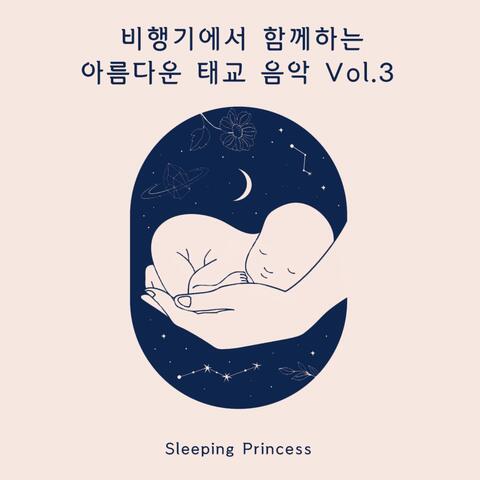 비행기에서 함께하는 아름다운 태교음악 Vol.3