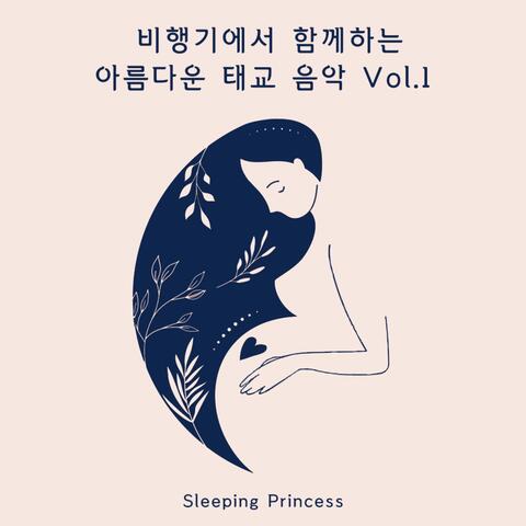 비행기에서 함께하는 아름다운 태교음악 Vol.1