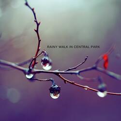 Rainy Walk In Central Park
