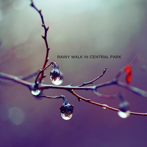Rainy Walk In Central Park