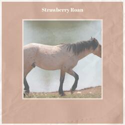 Strawberry Roan