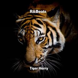 Tiger Harry