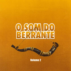 Menino do Berrante