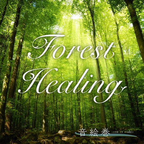 Forest Healing