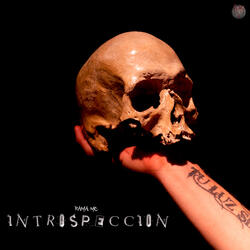 INTROSPECCION