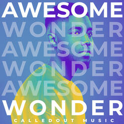Awesome Wonder