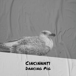 Cincinnati Dancing Pig