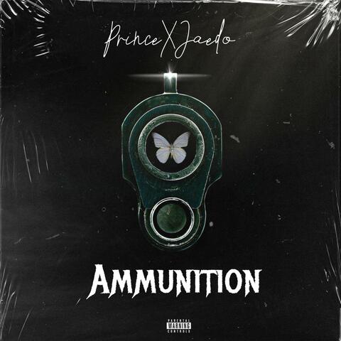 Ammunition