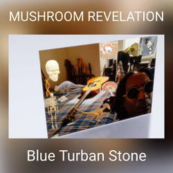 MUSHROOM REVELATION