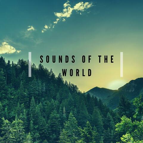 Sounds Of The World