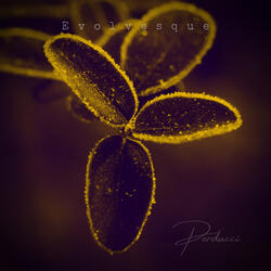 Evolvesque