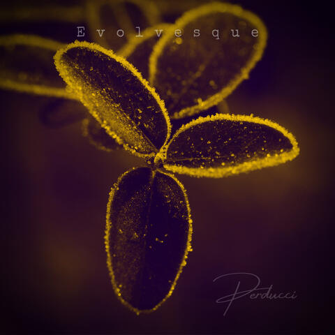 Evolvesque