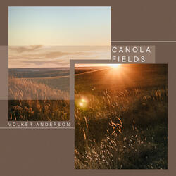 Canola Fields