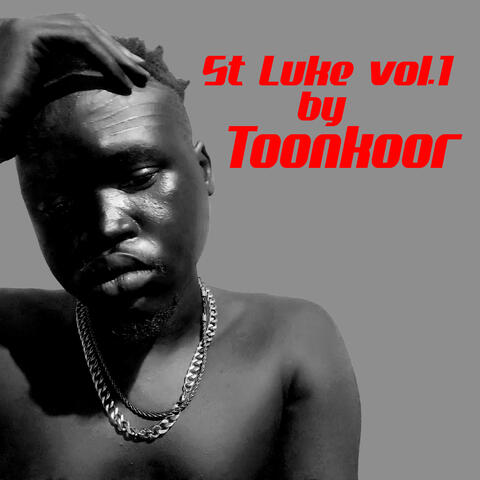 St Luke vol.1