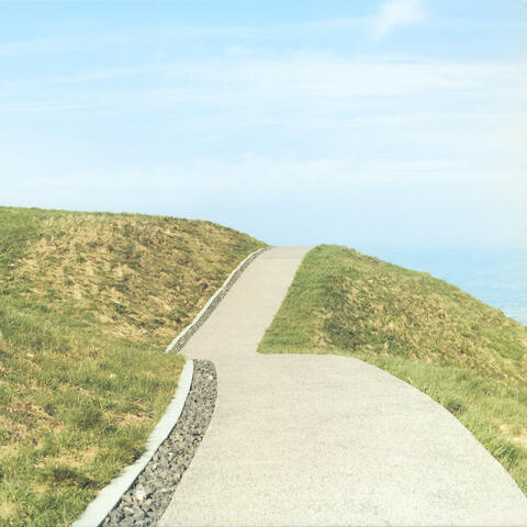 Nagi