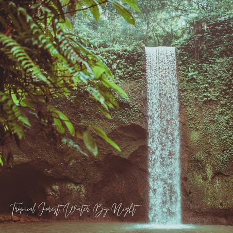 Tropical Forest Water By Night