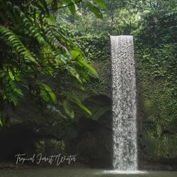 Tropical Forest Water