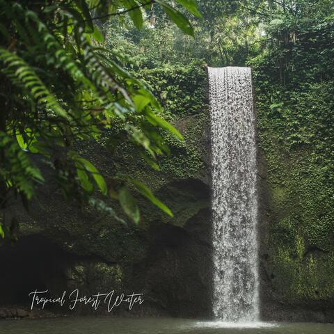 Tropical Forest Water