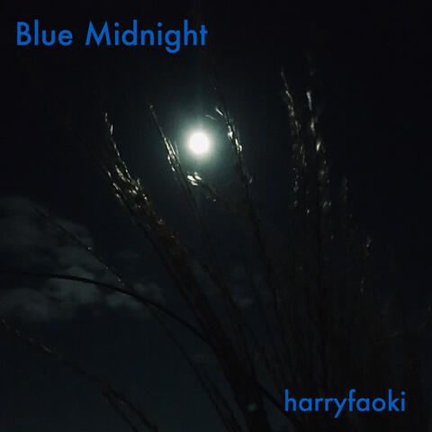 Blue Midnight