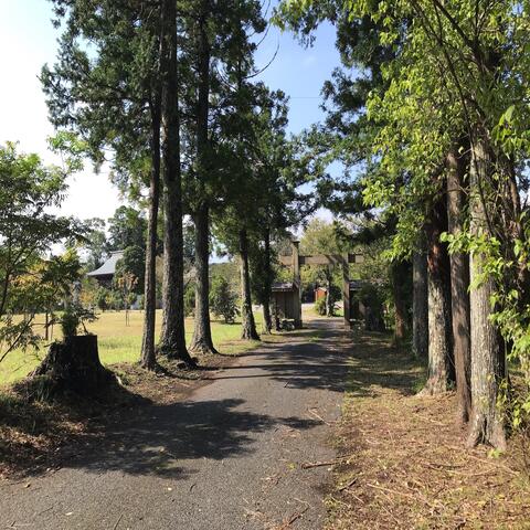 It's a Perfect Day for Driving!