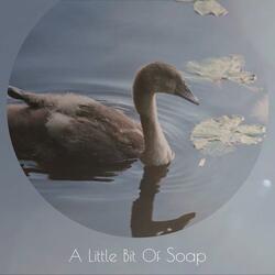 A Little Bit Of Soap