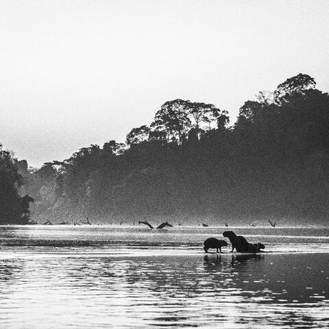 A Peruvian soundscape