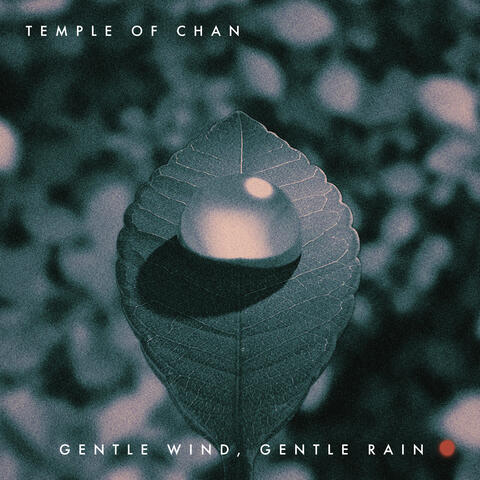 Gentle Wind, Gentle Rain