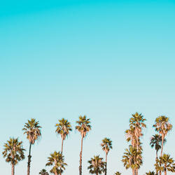 You're My Heart, You're My Soul