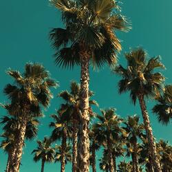 You're My Heart, You're My Soul