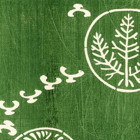 Bamboo Grove