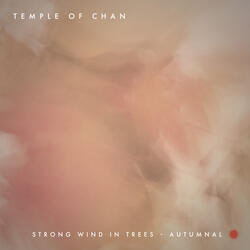 Strong Wind in Trees - Autumnal