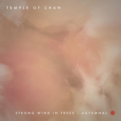 Strong Wind in Trees - Autumnal