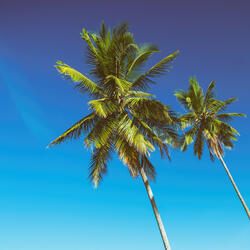 You're My Heart, You're My Soul