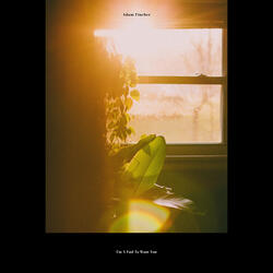 I'm A Fool To Want You