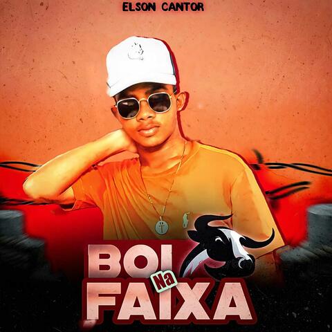Boi na Faixa