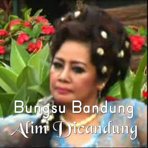 Alim Dicandung